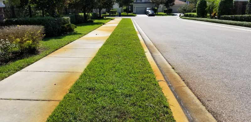Rust Stain Removal