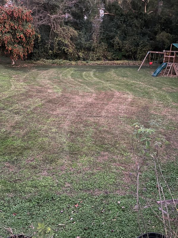 Lawn Care