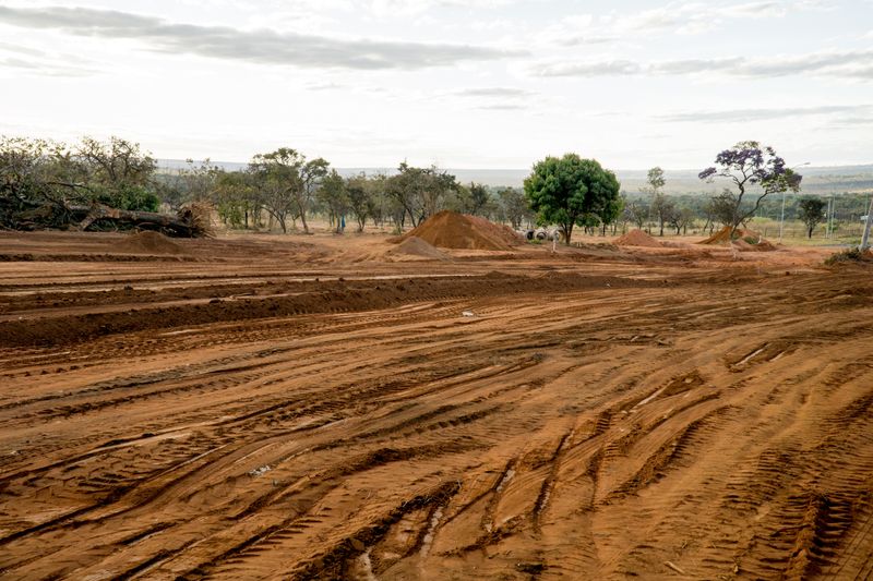 Land Clearing