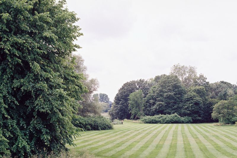 Mowing