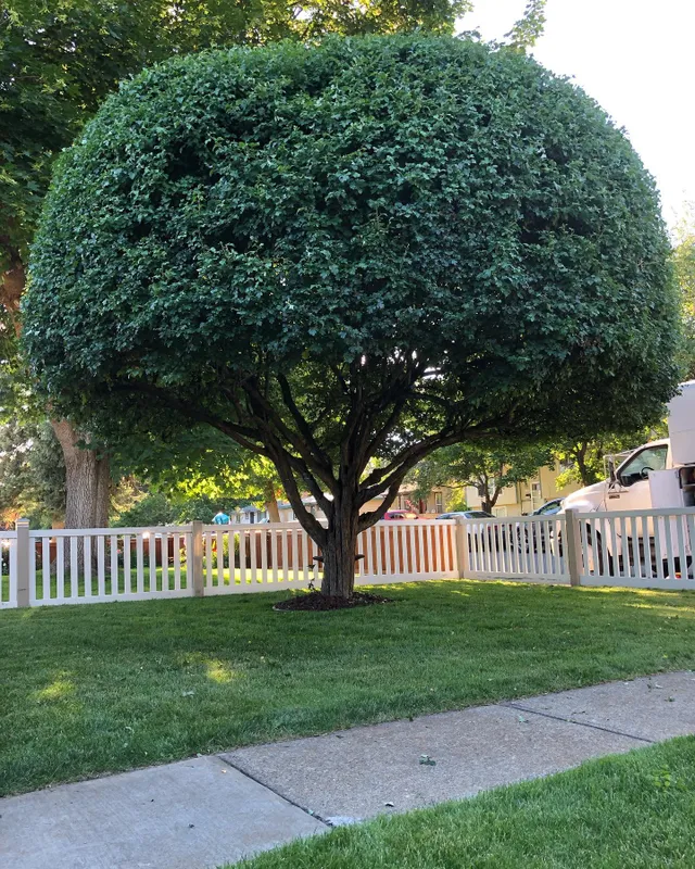 hero-photo mini tile