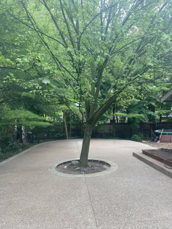 Poured concrete patio in a fenced backyard