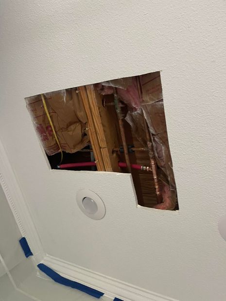 Access cut kept small, then patched back