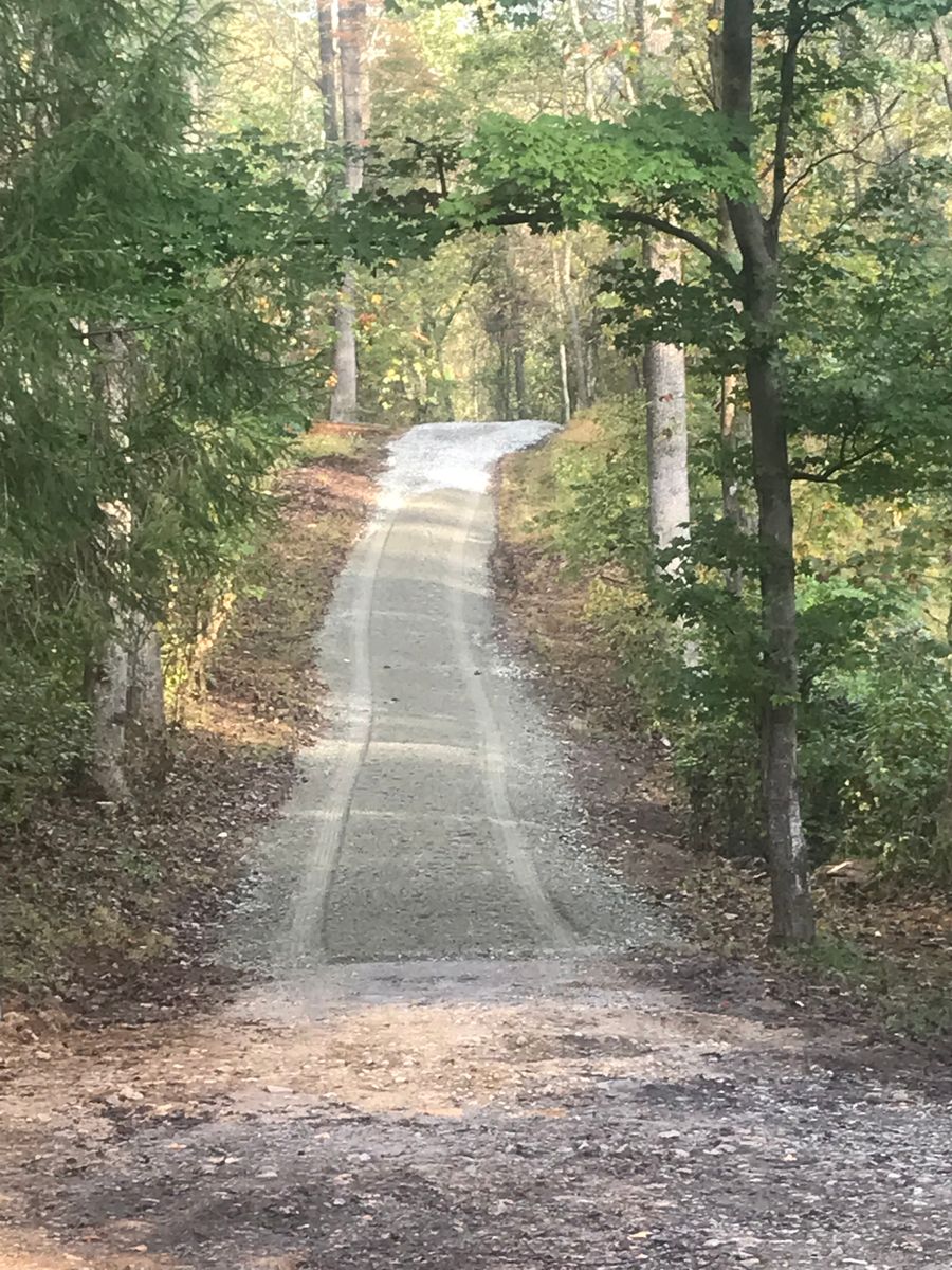 Gravel road climbing through the woods