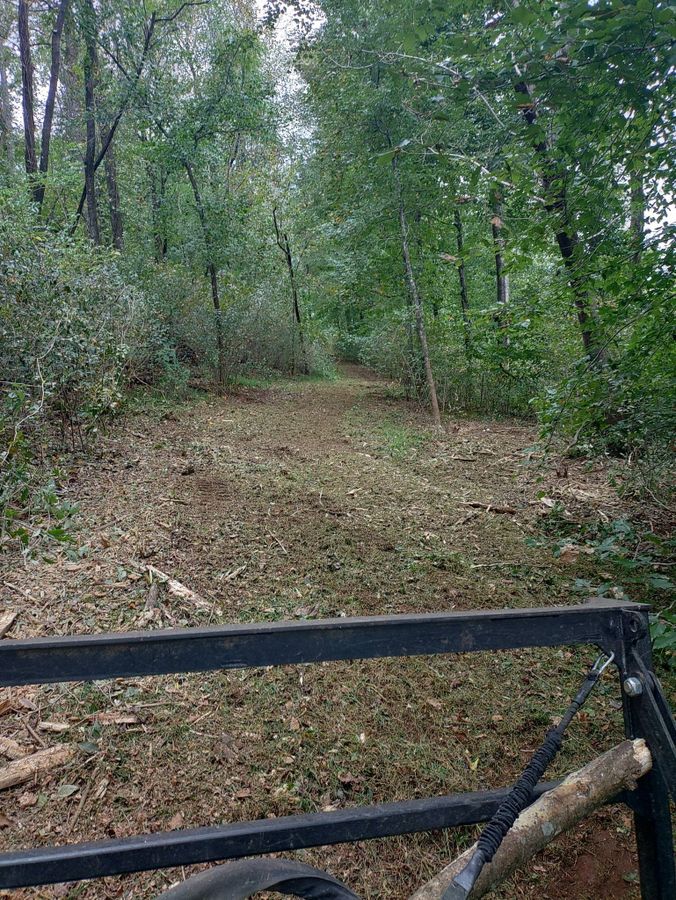 Mulched trail through woods seen from the cab of the machine