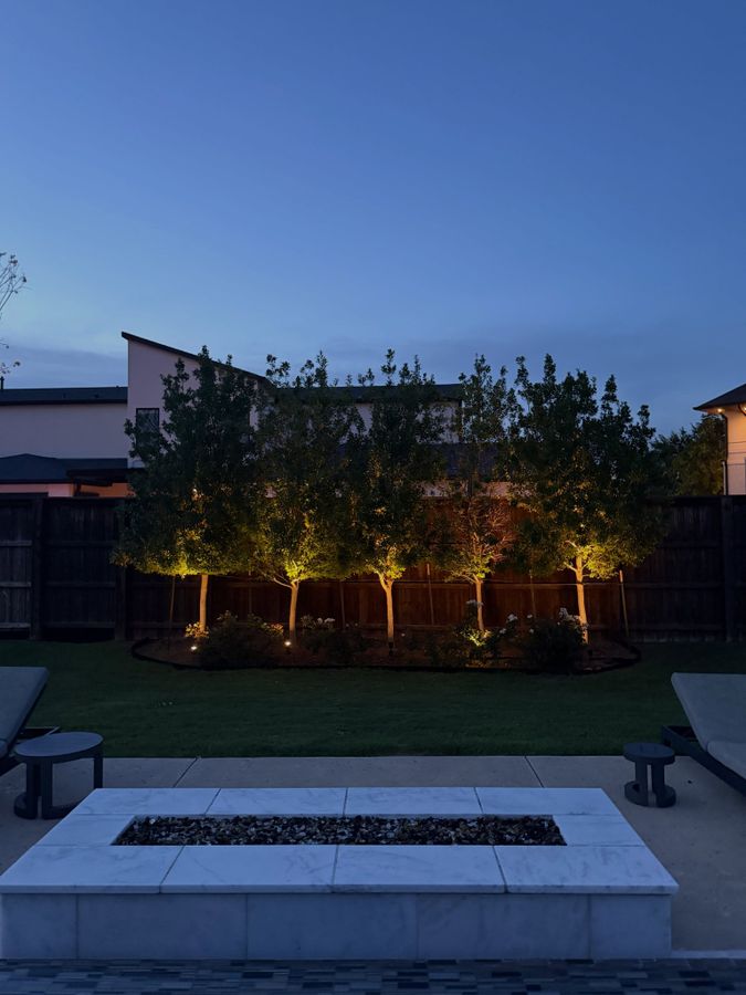 Dusk landscape uplighting on trees above a fire pit bench