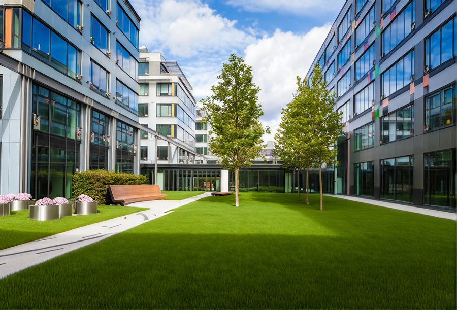 Commercial office courtyard with turf and trees