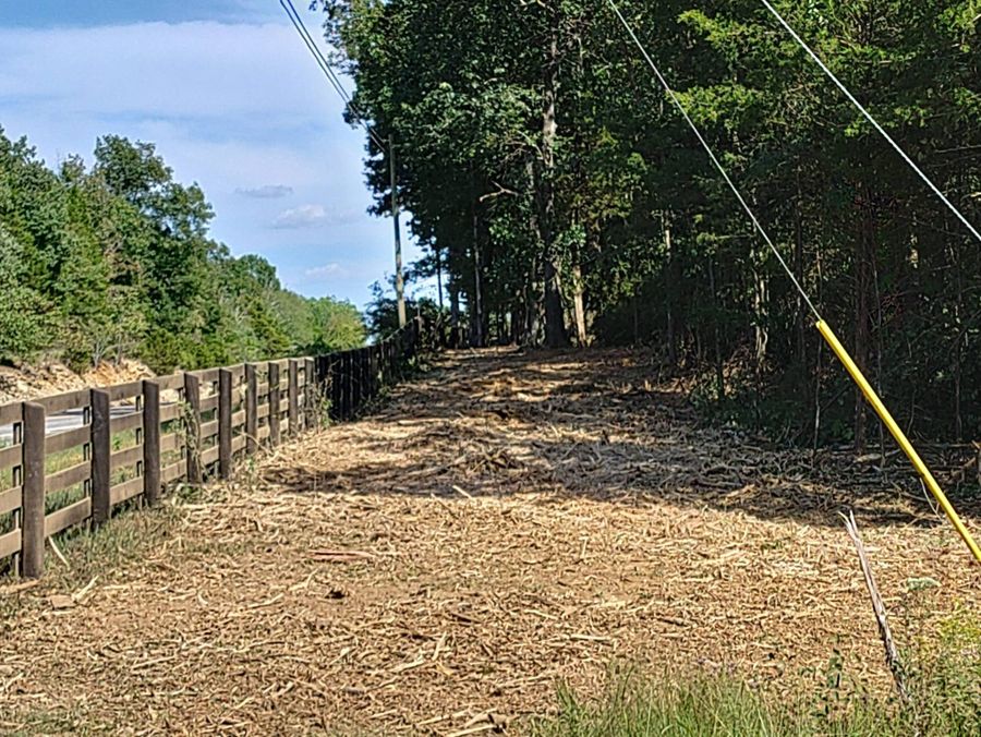 Strip of ground mulching beside a black fence with tall trees standing behind it