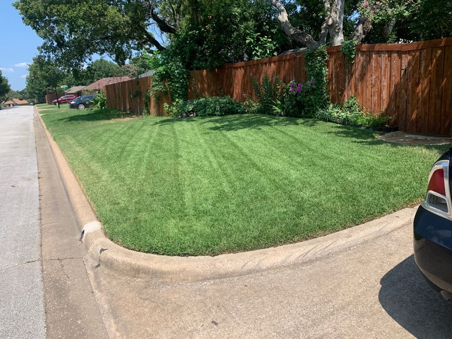 Freshly mowed striped lawn along a curb and wood fence