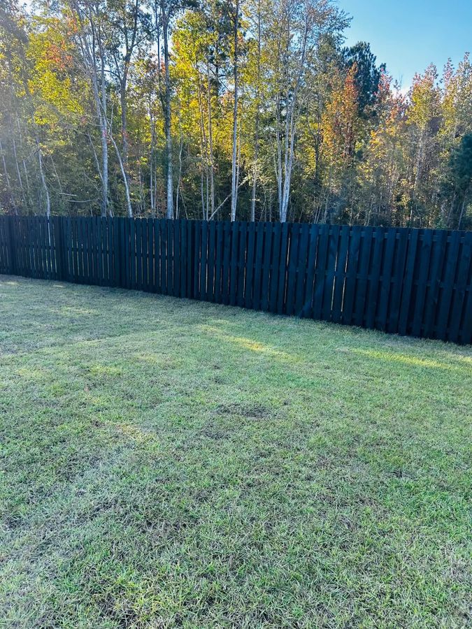 Black stained wood shadow box fence