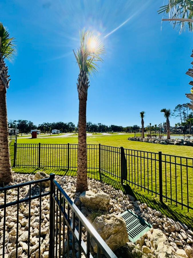 Open lawn and level RV sites under the palms at Heritage Oaks RV Resort
