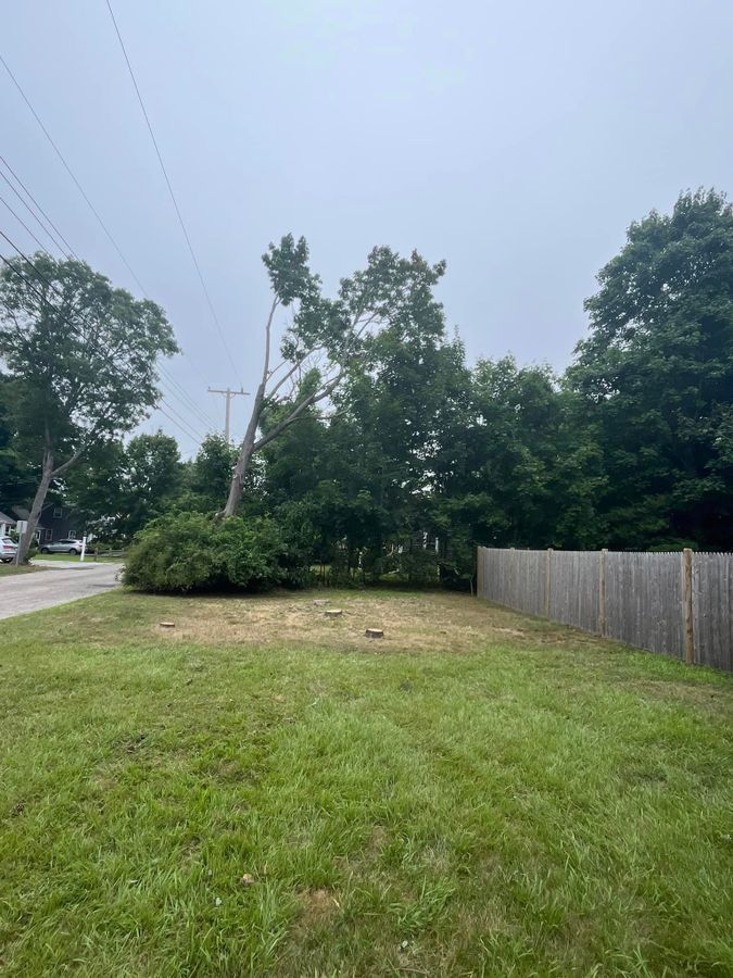 Cleared lawn with a tree stump near the road