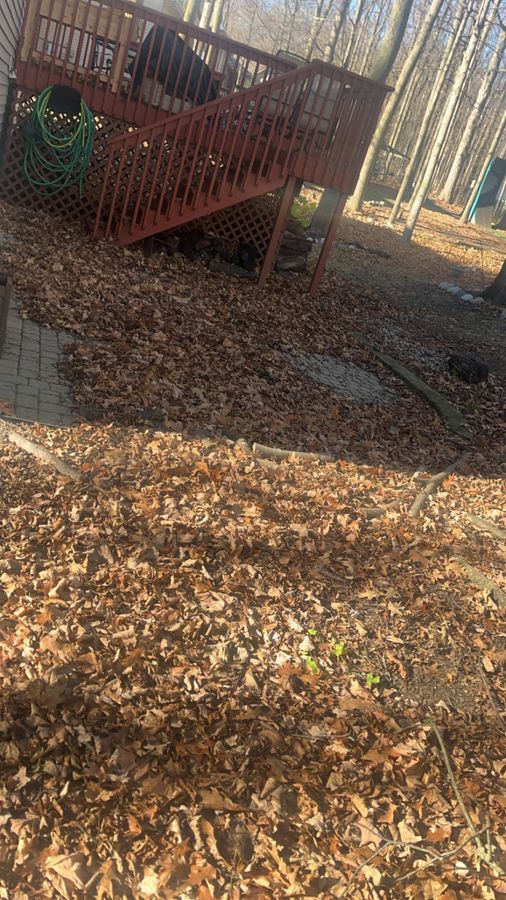 Deep fall leaves piled under a deck before leaf removal