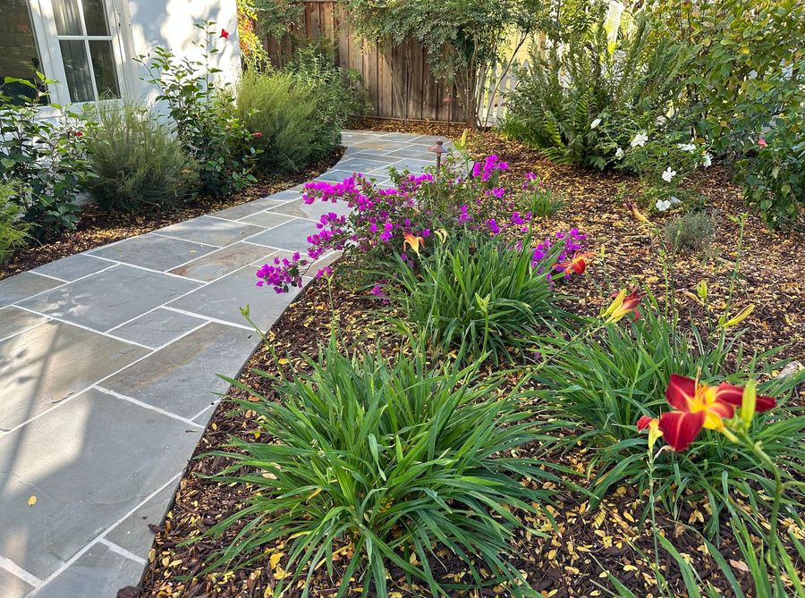 Curving bluestone path with pale grout lines beside a mulch bed of daylilies, magenta bougainvillea and ornamental shrubs, with a path light and a wood fence behind.