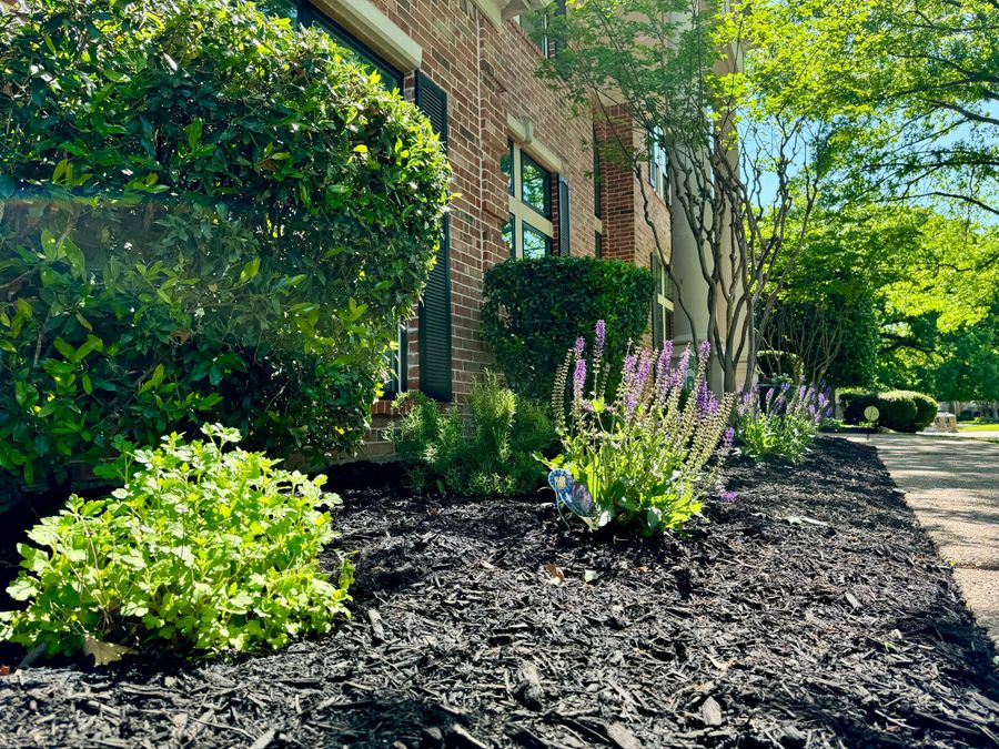 Lush planting bed with shrubs and flowers next to a brick home