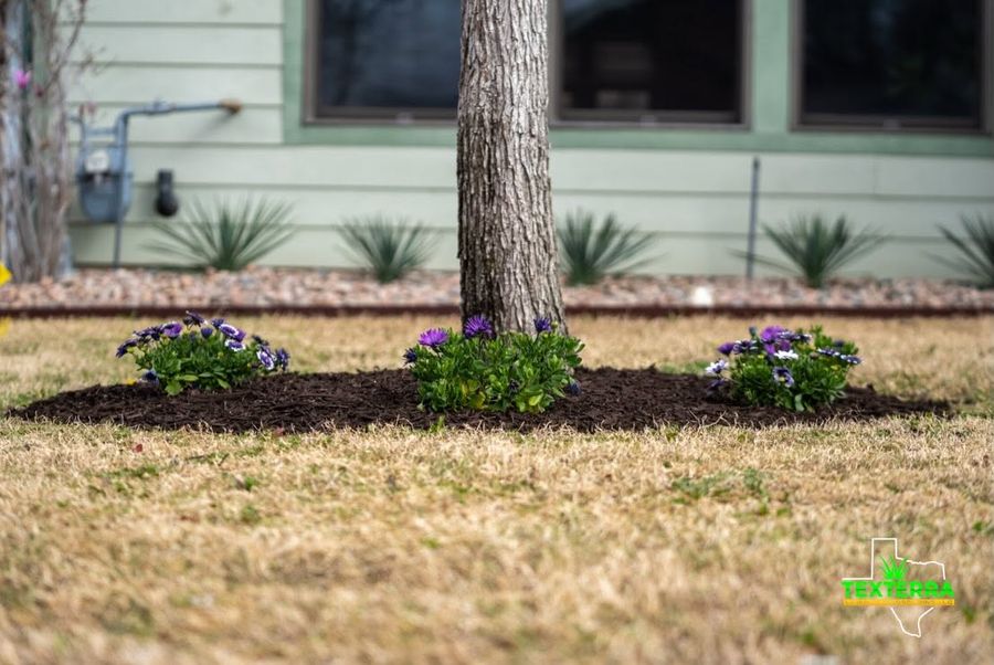 Fresh mulch beds with purple flowers around a tree beside a siding home