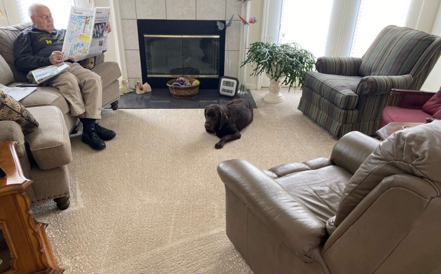 Homeowner relaxing in a clean living room with the dog on the carpet