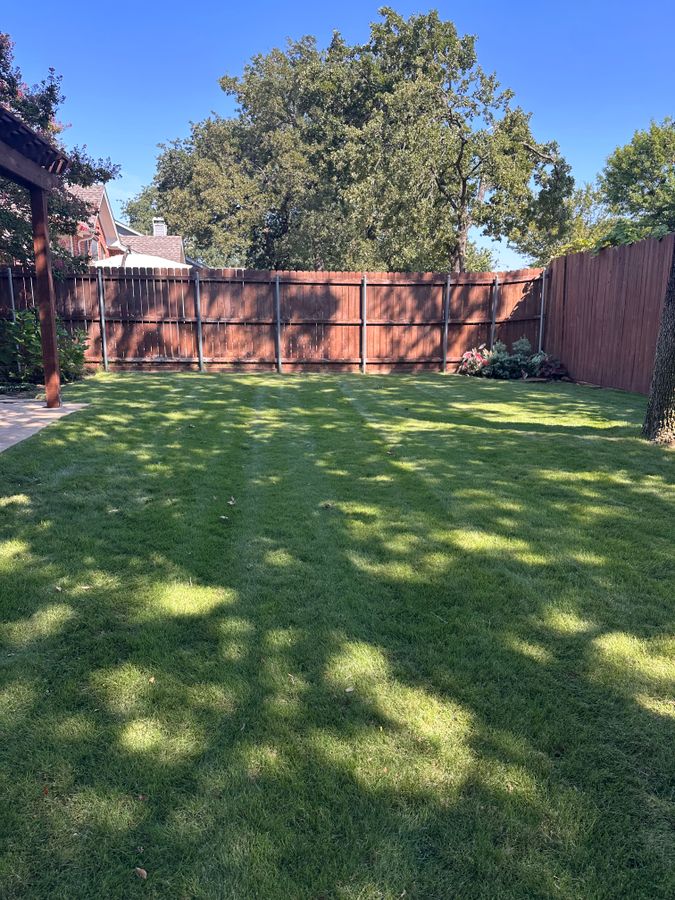 Backyard lawn shaded by mature trees along a wood fence