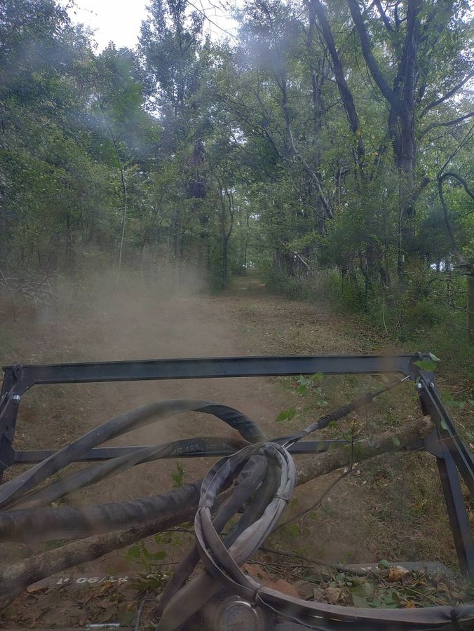 Freshly mulched trail through trees seen from the machine cab