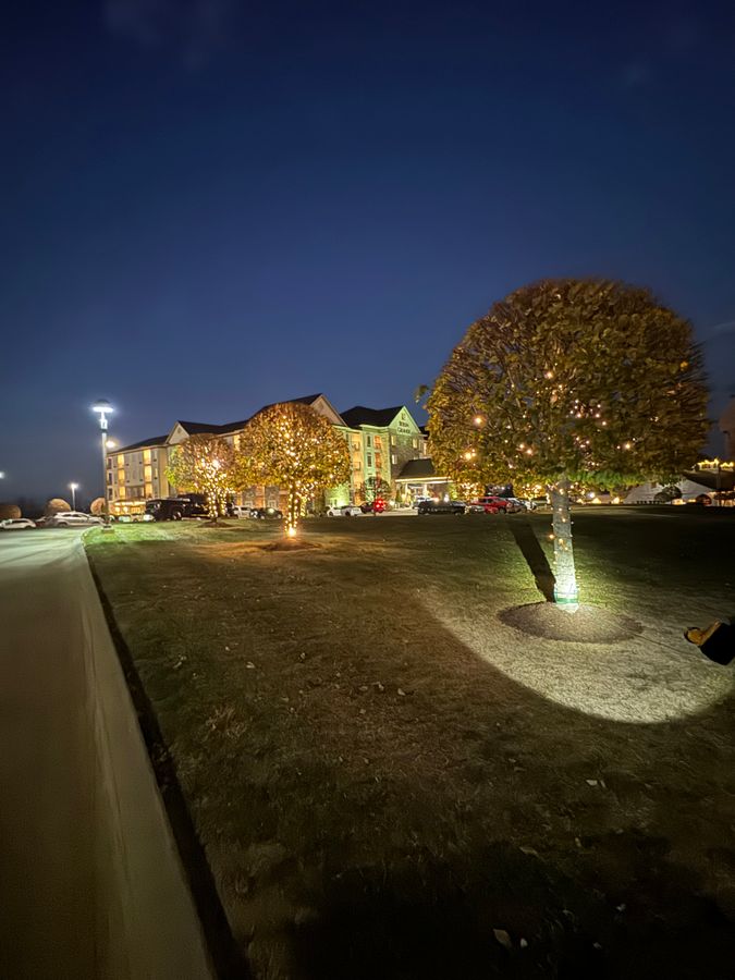 Lit trees and lawn in front of a large building at dusk, with a lamp post and parked cars in the distance