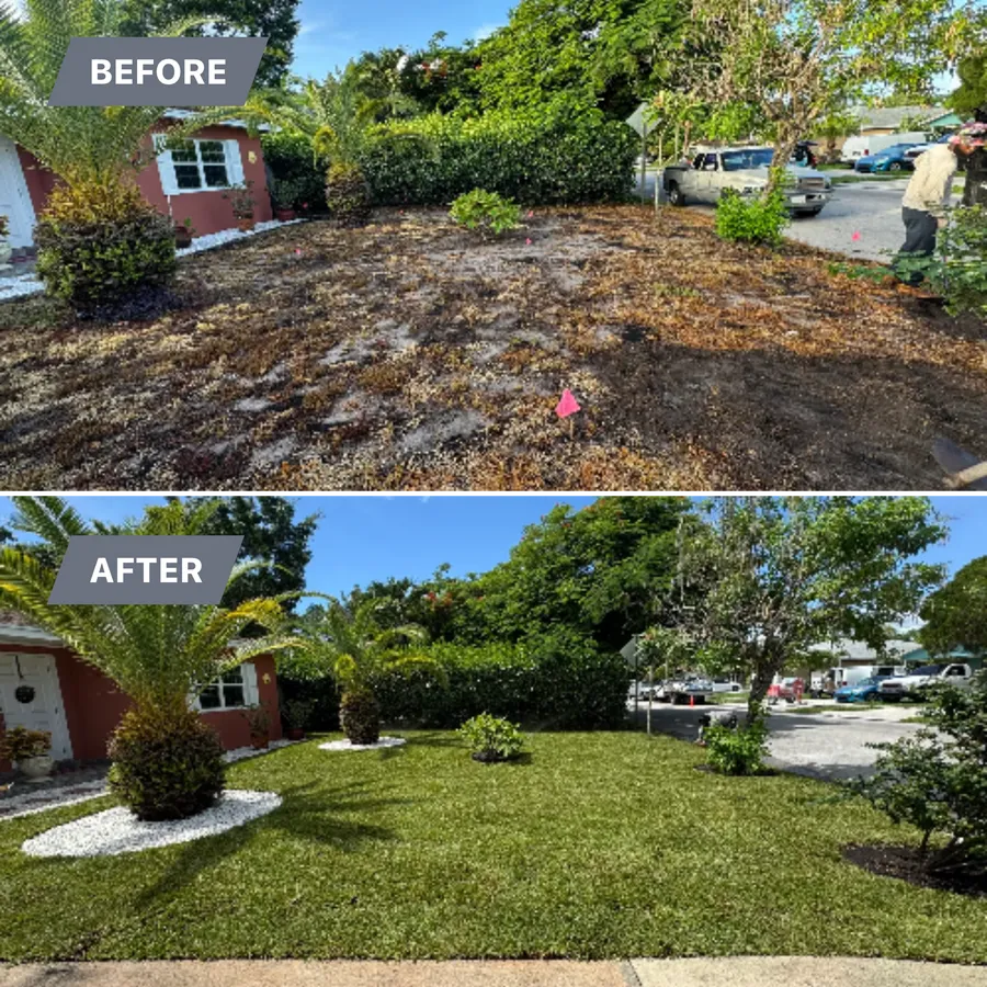After: new sod edged with a white rock bed