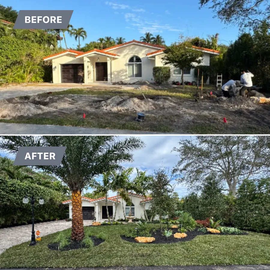 After: new sod, palms and planting beds