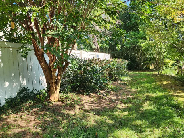 Seed Installation for CJC Landscaping, LLC in Athens, Georgia