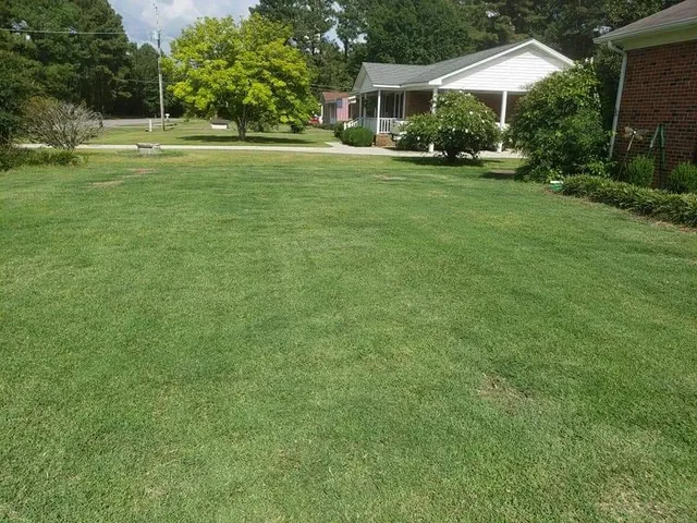 Our Best Work for RightLane Turf Management LLC in Wilson, NC