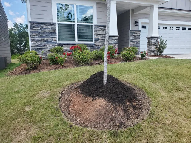 Fall and Spring Clean Up for L&S landscaping in Greenville, South Carolina