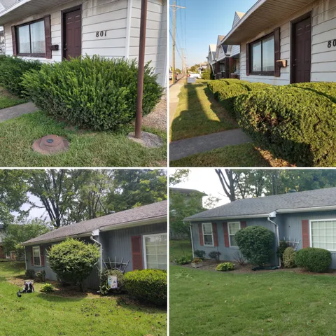 Pruning Bushes and Perennial Service for The Grass Guys Complete Lawn Care LLC. in Evansville, IN