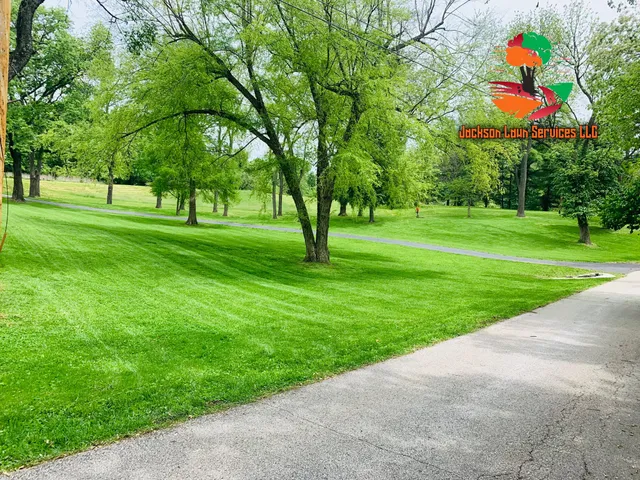 Lawn Maintenance for Jackson Lawn Services LLC in Florissant , MO