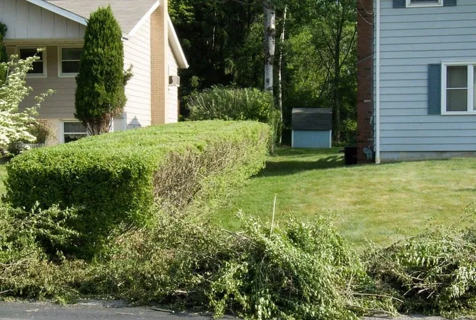 Fall and Spring Clean Up for L&S landscaping in Greenville, South Carolina