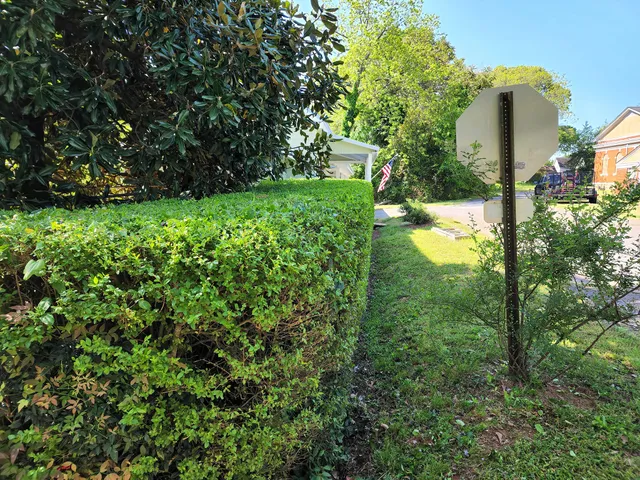 Seed Installation for CJC Landscaping, LLC in Athens, Georgia