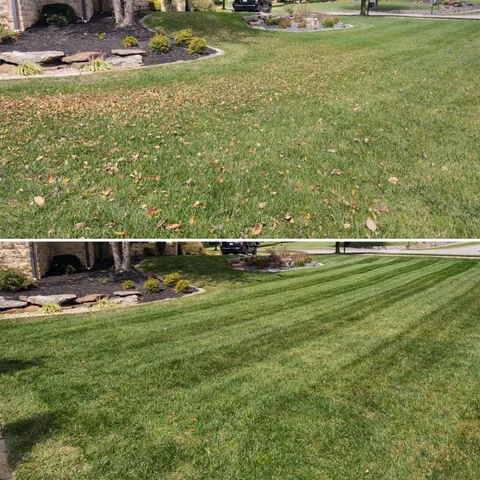 Fall Clean-Up for The Grass Guys Complete Lawn Care LLC. in Evansville, IN