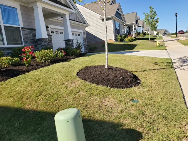 Fall and Spring Clean Up for L&S landscaping in Greenville, South Carolina