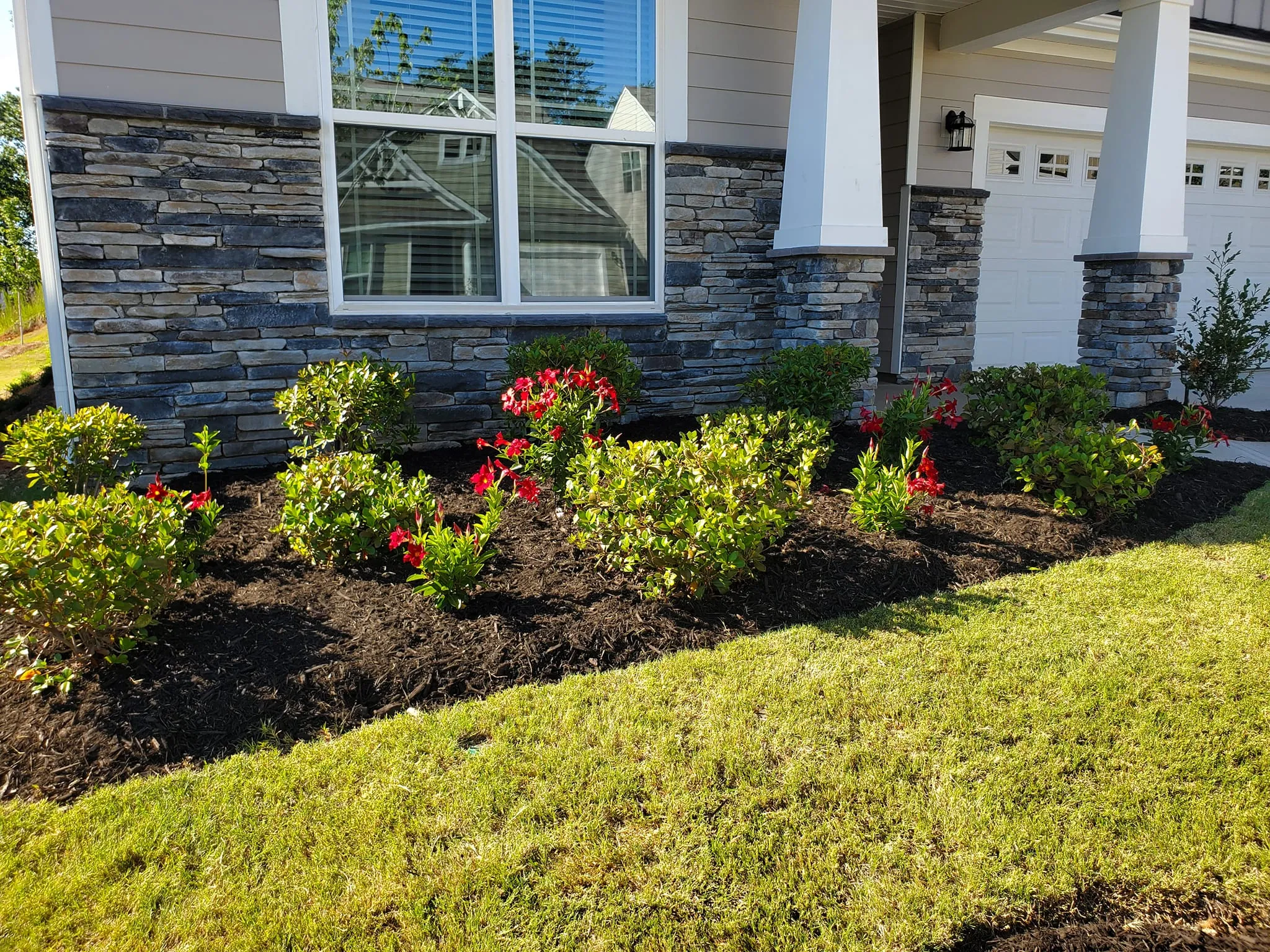 Our Mulch Installation service is perfect for homeowners who want to improve their property's appearance while protecting their plants and soil. We'll help you choose the right mulch for your needs, then install it in a neat and professional manner. for L&S landscaping in Greenville, South Carolina