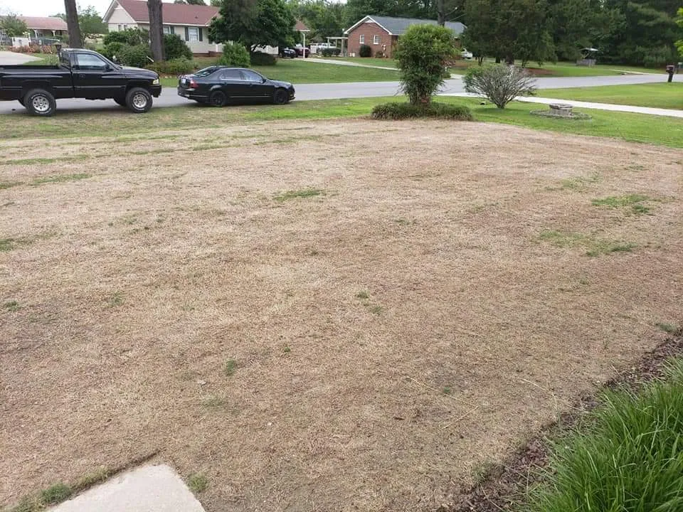 All Photos for RightLane Turf Management LLC in Wilson, NC