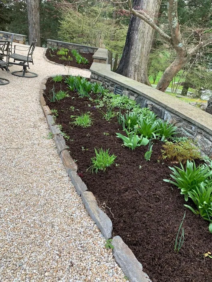 Our Mulch Installation service provides a layer of protective material over the soil to help retain moisture, suppress weed growth, and improve the appearance of your landscape. for Ovidio's Landscaping in Westchester County, NY
