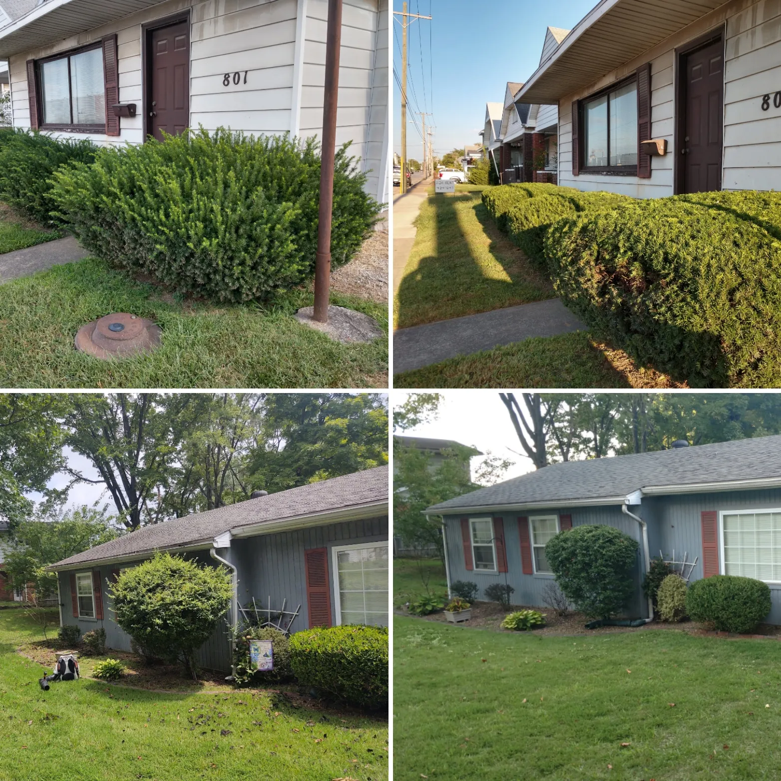 Pruning Bushes and Perennial Service for The Grass Guys Complete Lawn Care LLC. in Evansville, IN