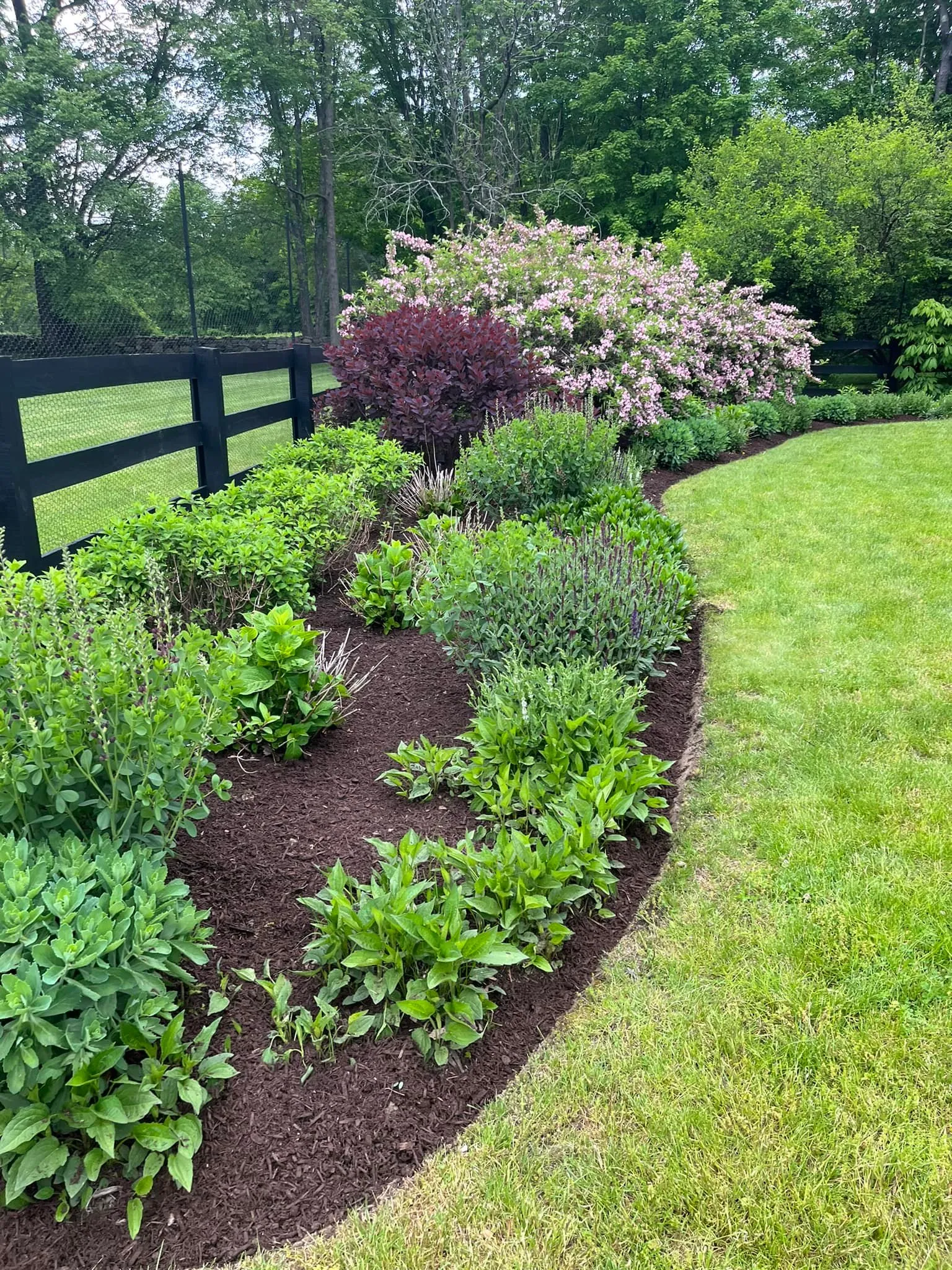 Fall and Spring Clean Up for Ovidio's Landscaping in Westchester County, NY