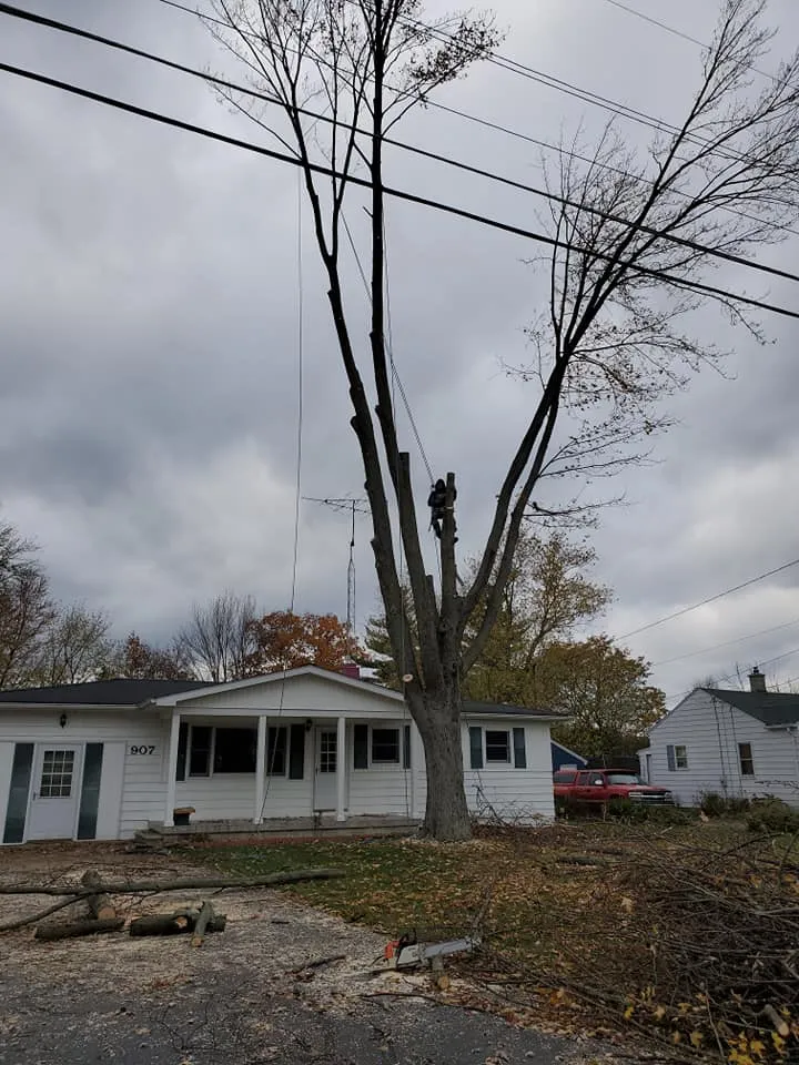 Tree Removal for A&B Landscaping L.L.C. in Lapeer, MI