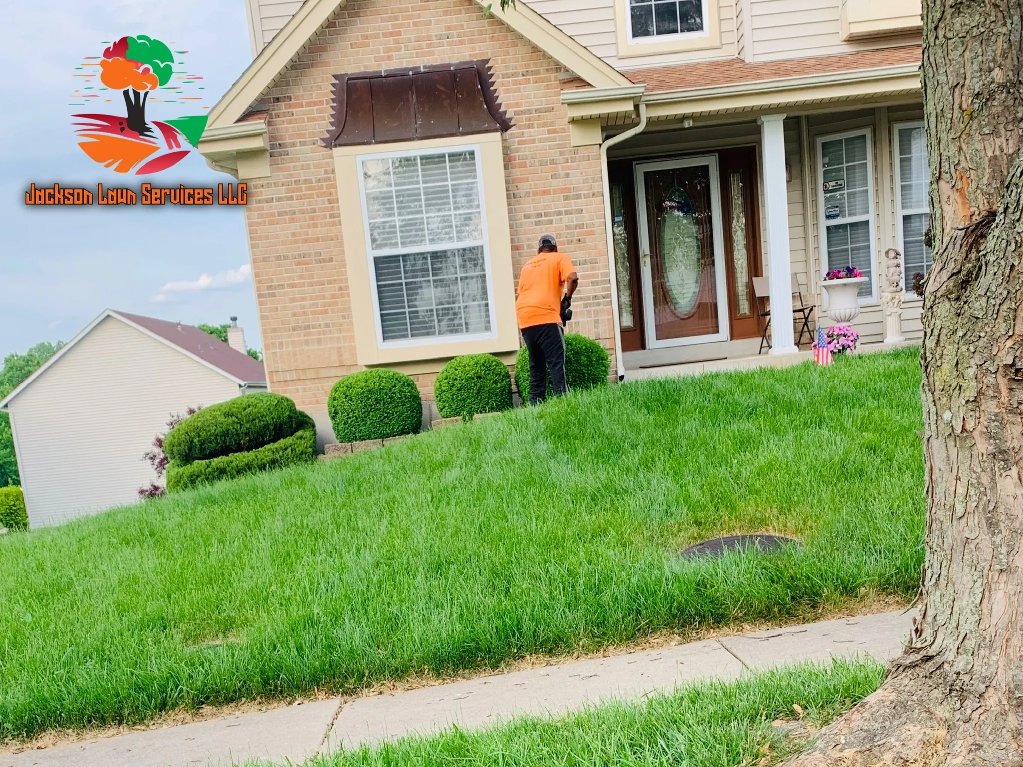Hedge Trimming for Jackson Lawn Services LLC in Florissant , MO