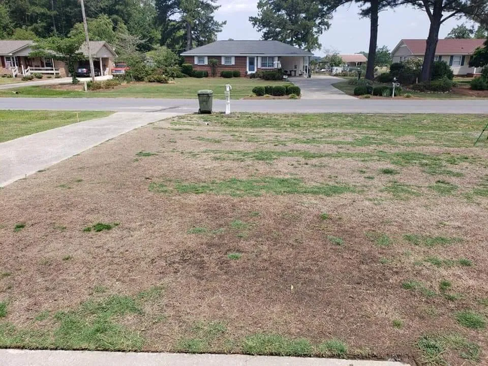 Our Best Work for RightLane Turf Management LLC in Wilson, NC