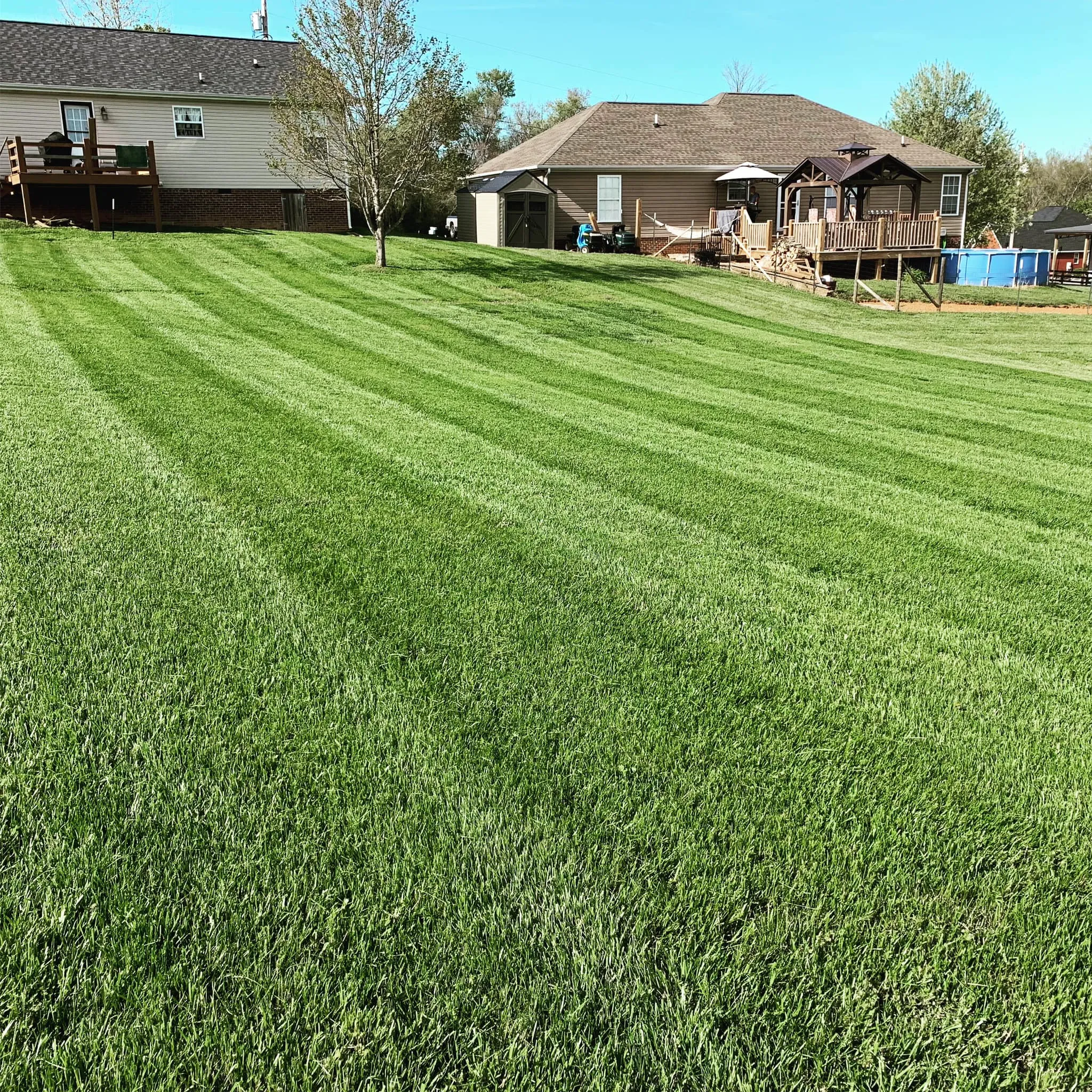 Photo number 16 of Fenix Lawn Care's best work performing a null job