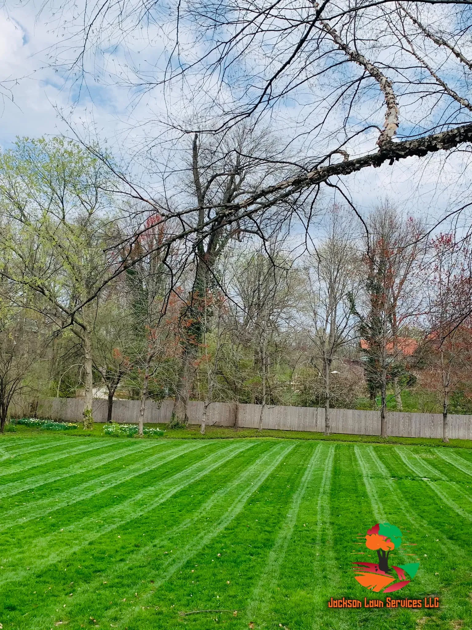 Mowing for Jackson Lawn Services LLC in Florissant , MO