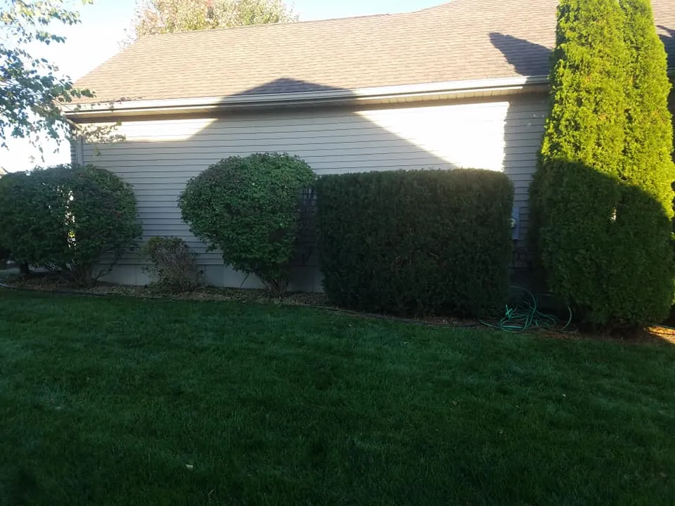 Shrub Trimming for A&B Landscaping L.L.C. in Lapeer, MI