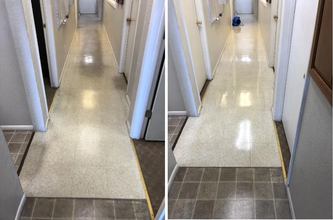Tile and Grout Cleaning for TLC Carpet & Tile Cleaners in Surprise, Arizona