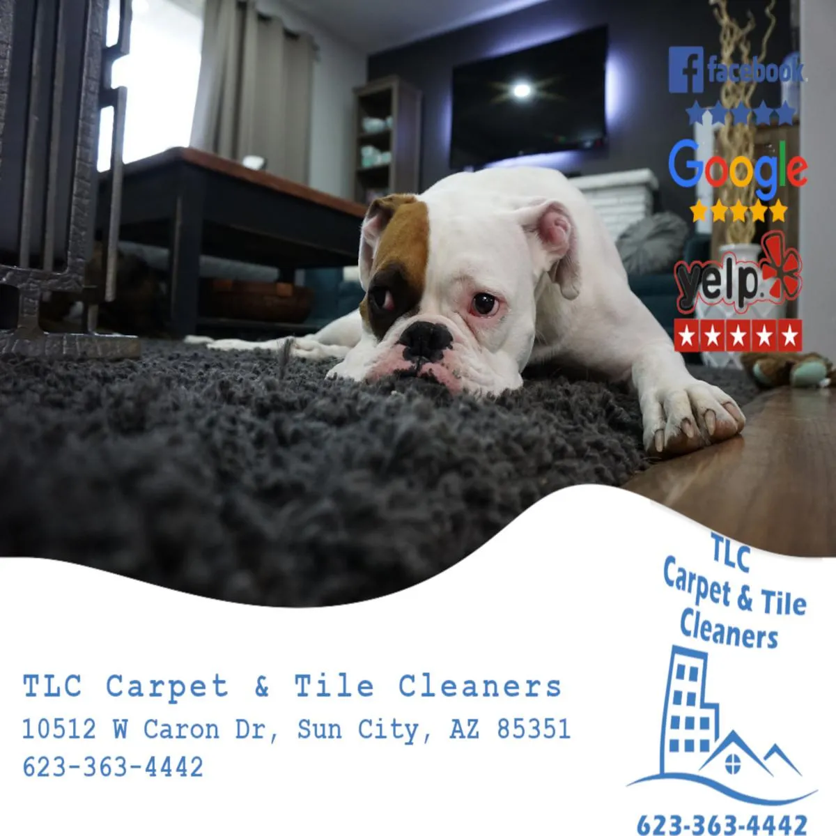 Tile and Grout Cleaning for TLC Carpet & Tile Cleaners in Surprise, Arizona