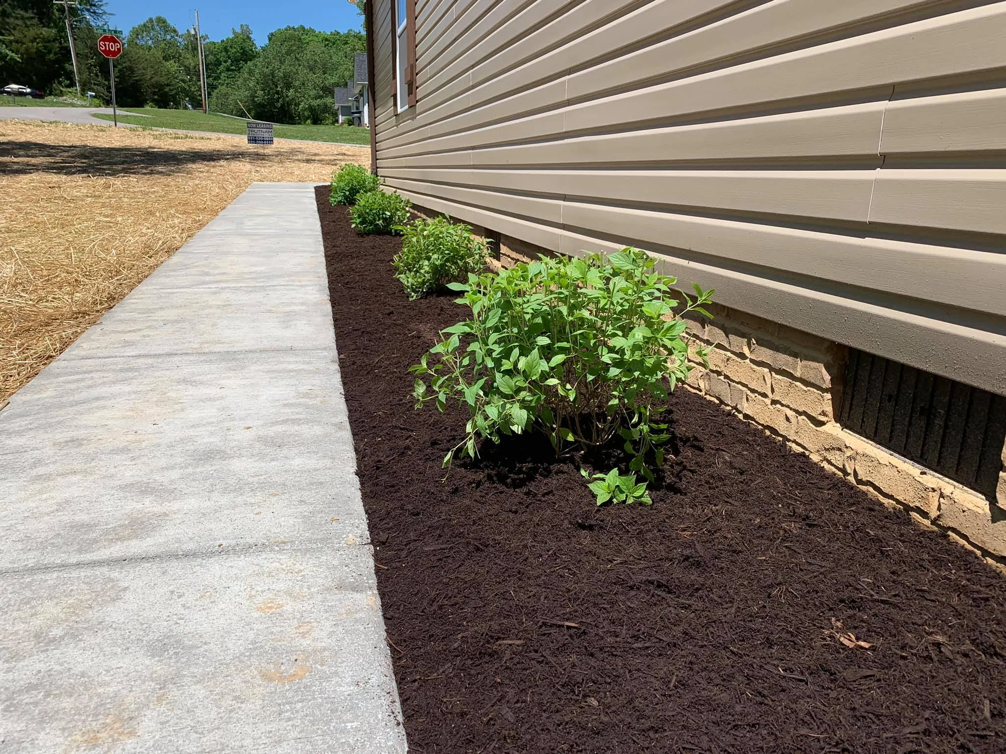 Photo number 14 of Fenix Lawn Care's best work performing a null job