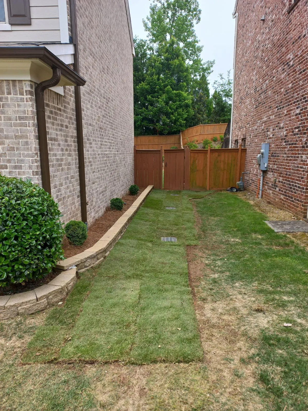 Lawn Aeration for Two Brothers Landscaping in Atlanta, Georgia